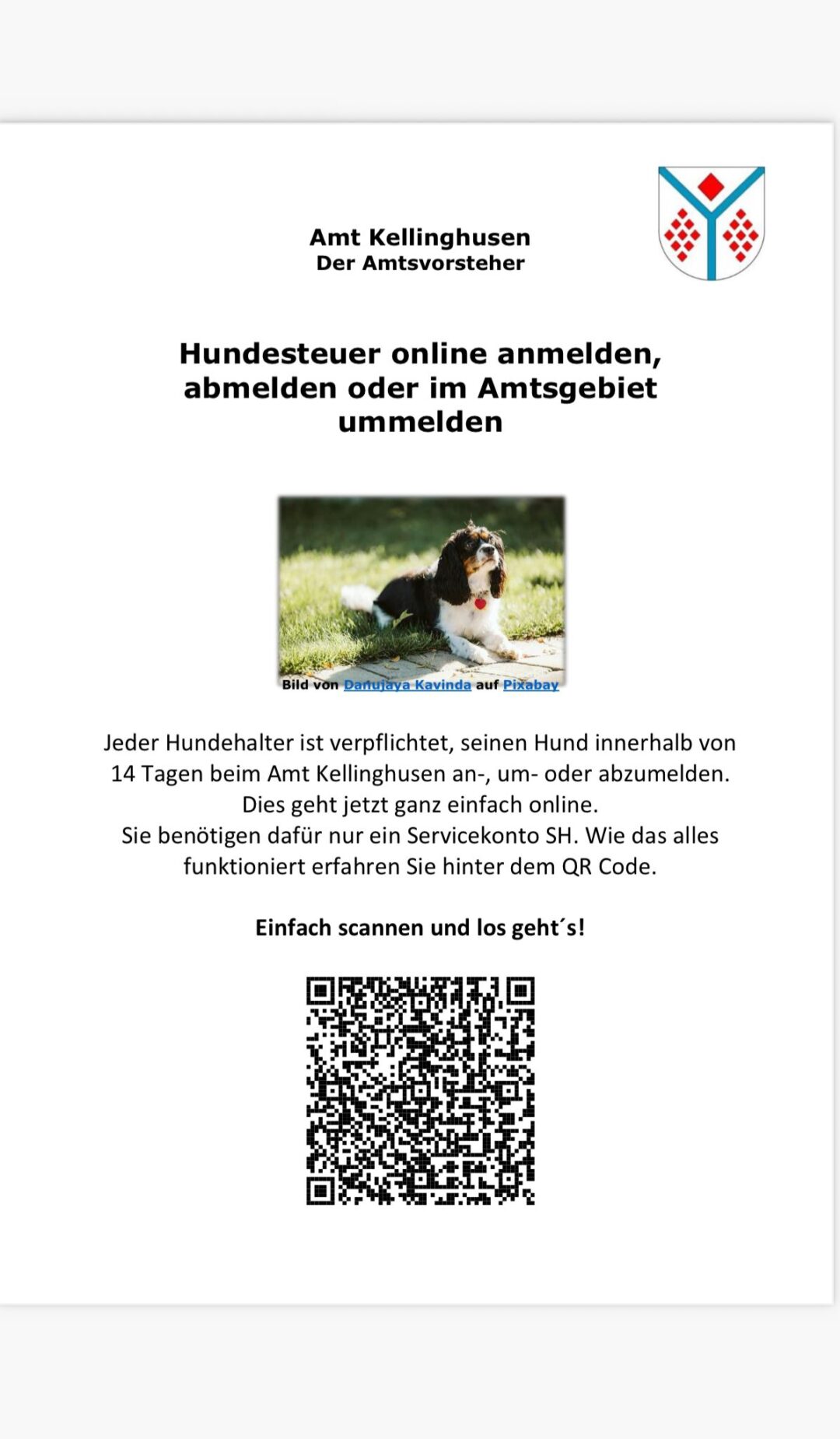 Hundesteuer´25